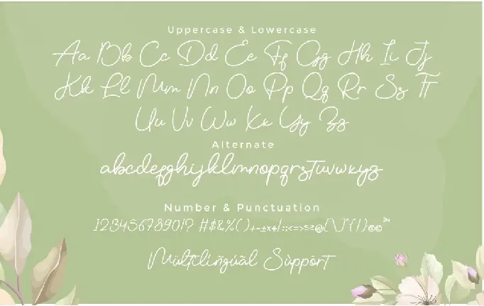 Vemina Handwritten Scipt font