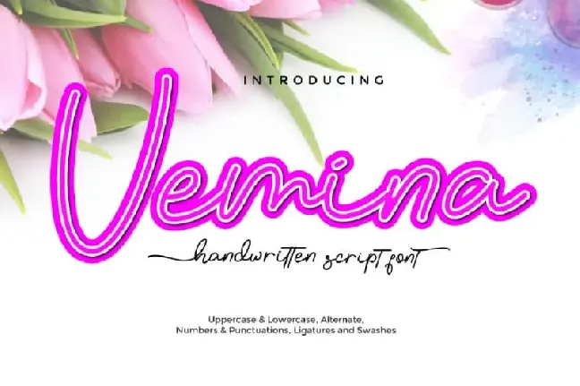 Vemina Handwritten Scipt font