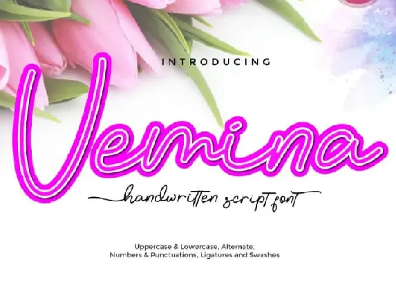 Vemina Handwritten Scipt font