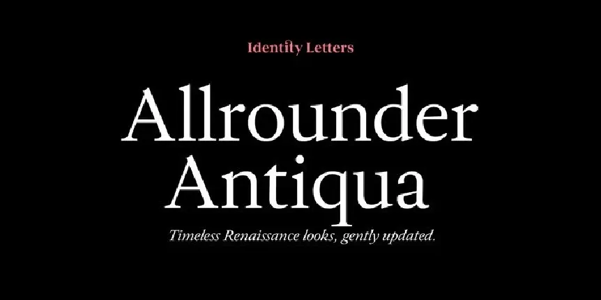 Allrounder Antiqua Family font