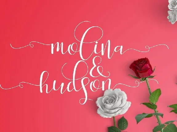 Salita Script font