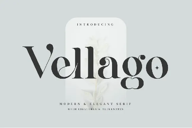 Vellago font