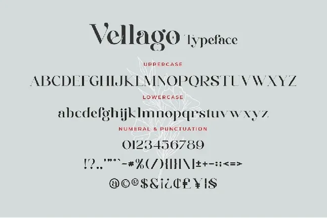 Vellago font