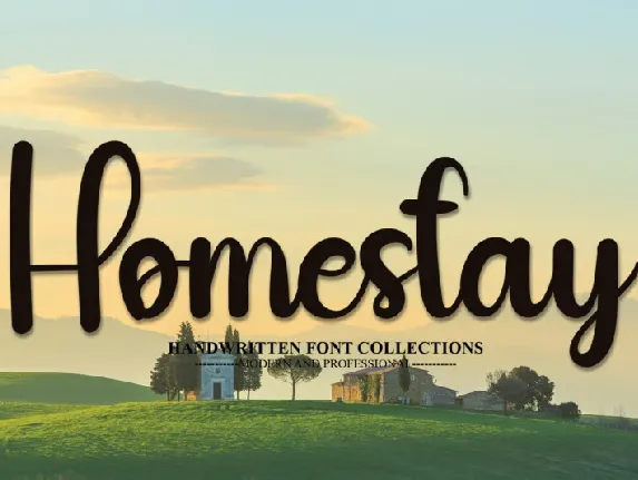 Homestay Script Typeface font