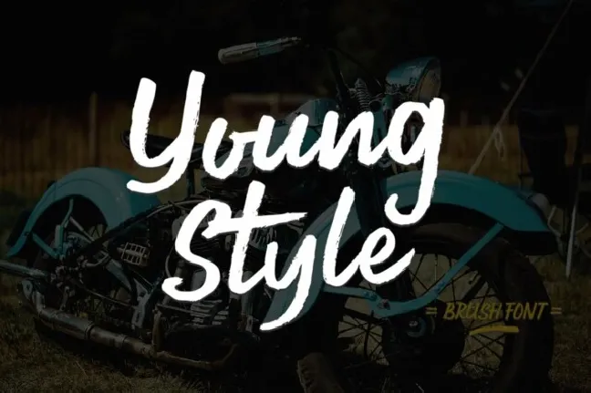 Young Style Script font