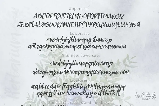 Herbarium Script font