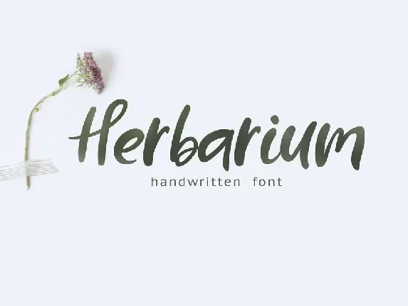 Herbarium Script font