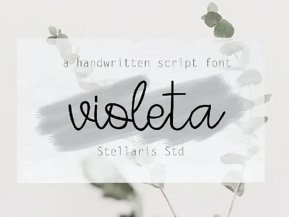 violeta font