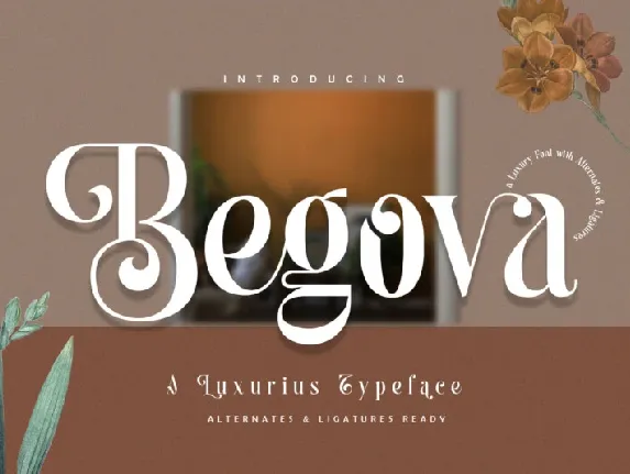 Begova font