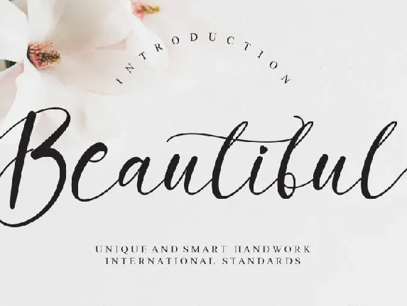 Beautiful font