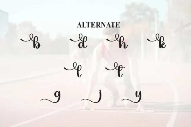 Ready Script font