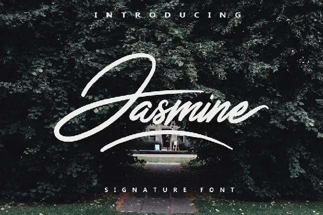 Jasmine Script font