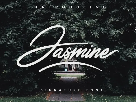 Jasmine Script font