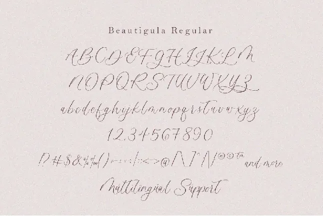 Beautigula font