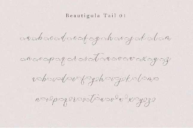 Beautigula font