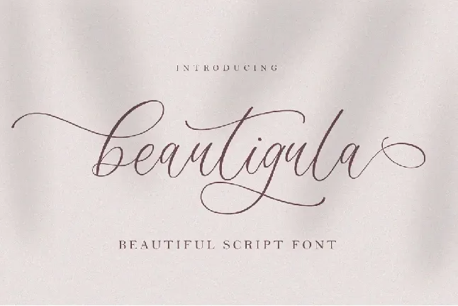 Beautigula font