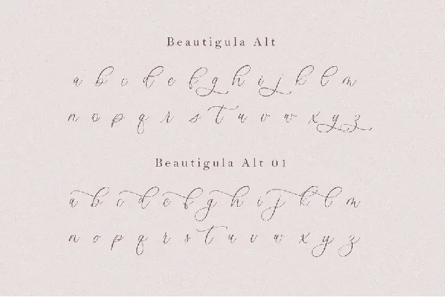 Beautigula font