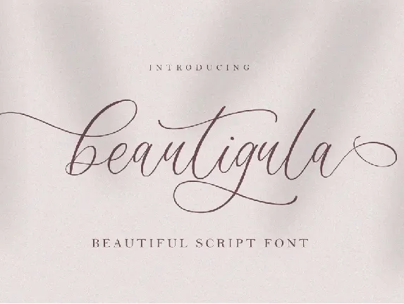 Beautigula font