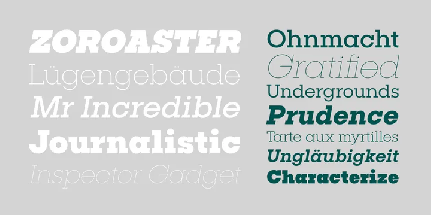 Publica Slab Family font