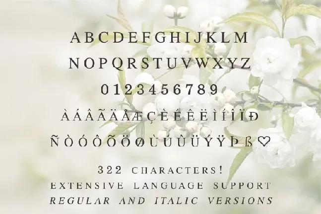 All-Formal-Font font