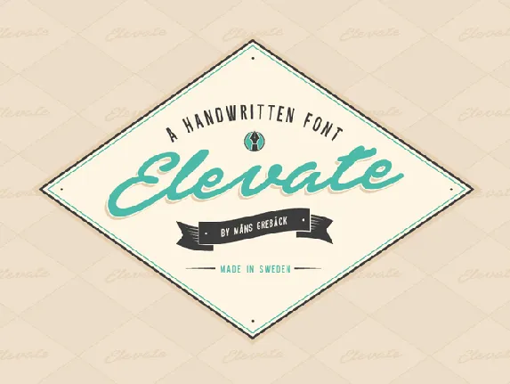 Elevate PERSONAL USE ONLY font