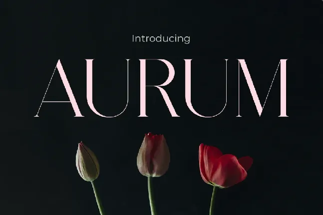 AURUM font