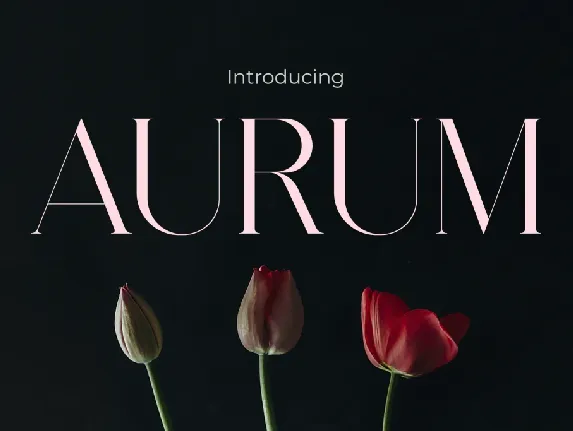 AURUM font