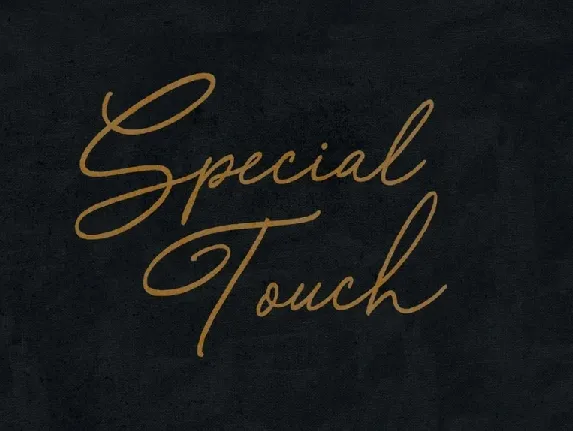 Special Touch Script Free font