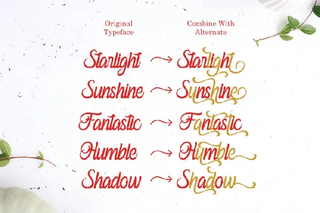 Ferishley Sunshine Script font