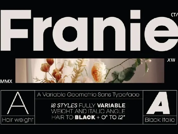 Franie Family font