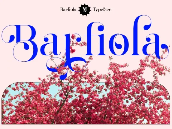 Barfiola font