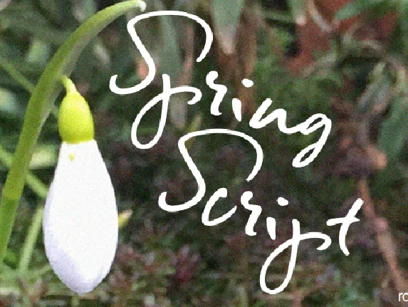 Spring Script font