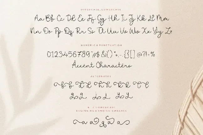 saylora font