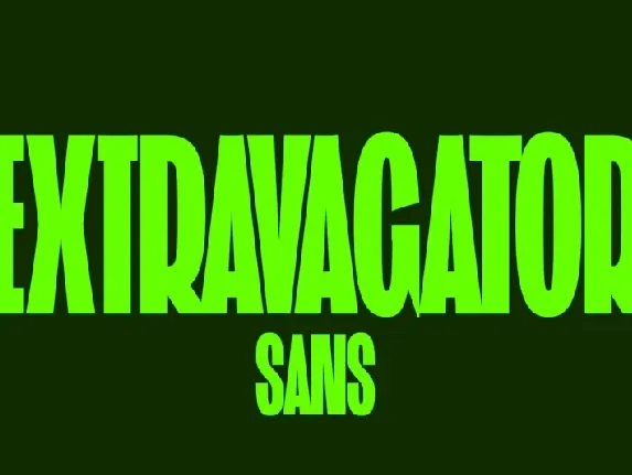 ST Extravagator Sans font