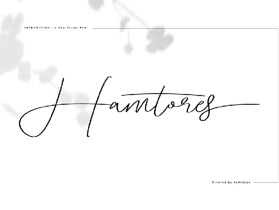 Hamtores font