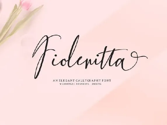 Fiolenitta Script font