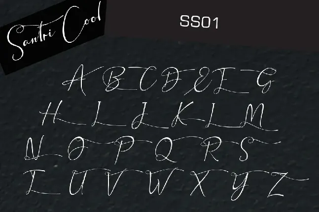 Santri Cool font