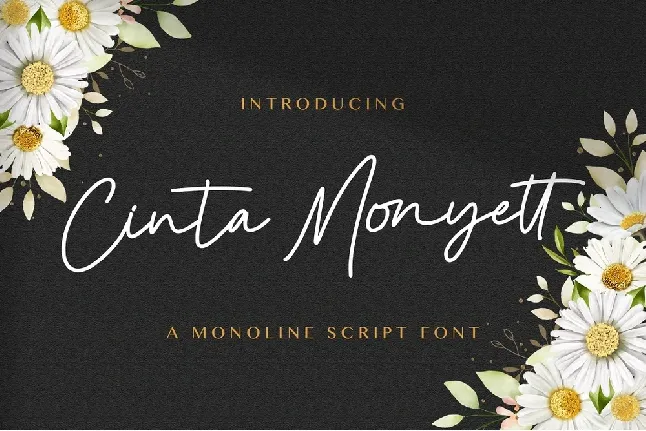 Cinta Monyett font