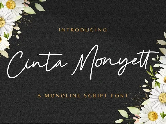 Cinta Monyett font