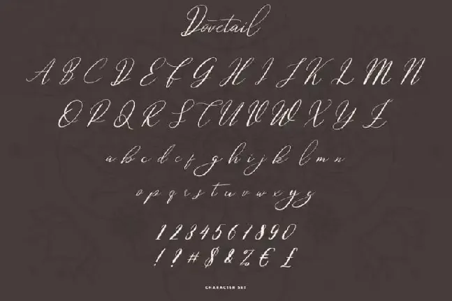 Dovetail Luxurious Calligraphy Script font