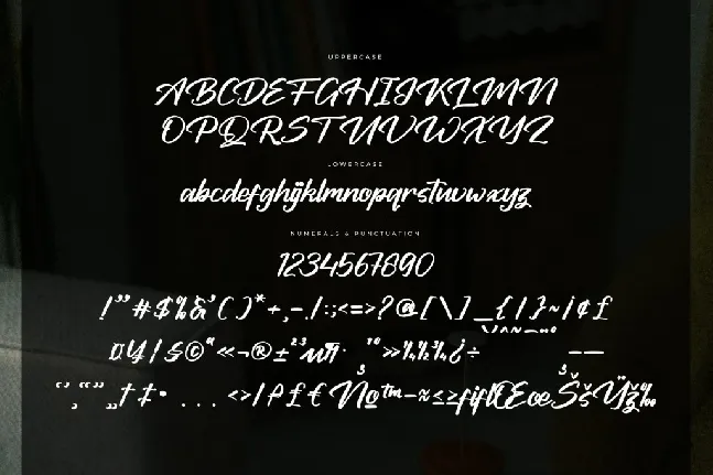 Bolinker Quantum DEMO VERSION font