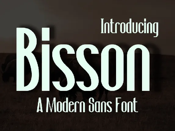 Bisson font