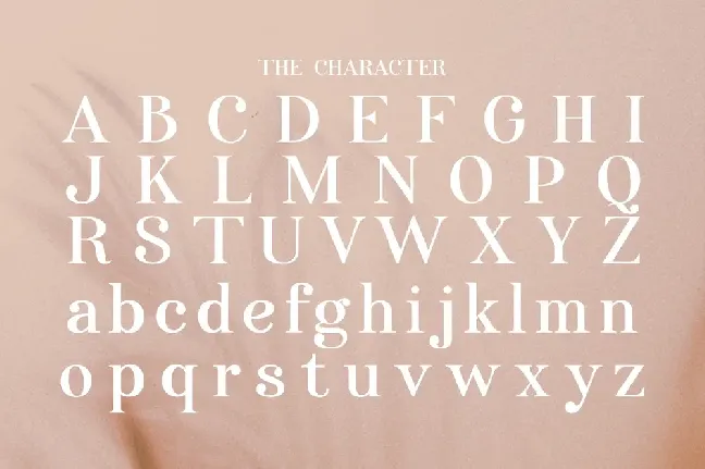 Anggie Display font