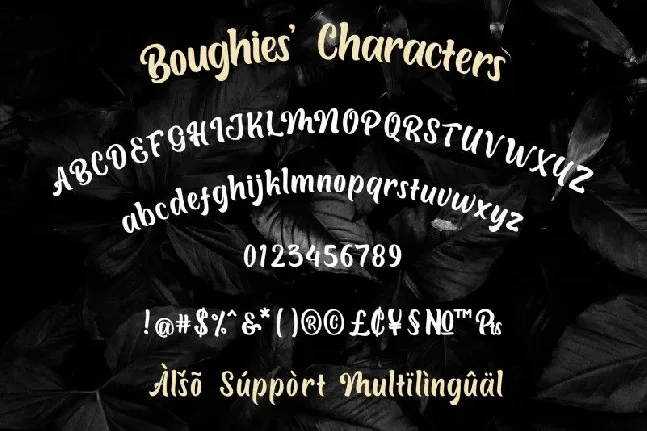 Boughies Typeface font