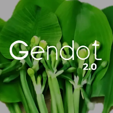 Gendot font