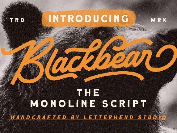 Blackbear font