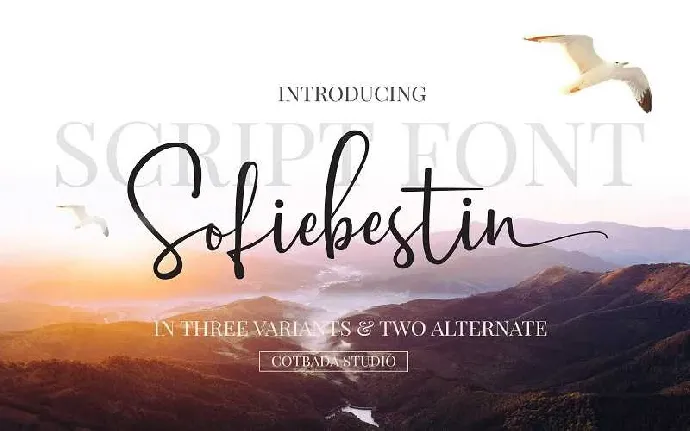 Sofiebestin Script Free Download font