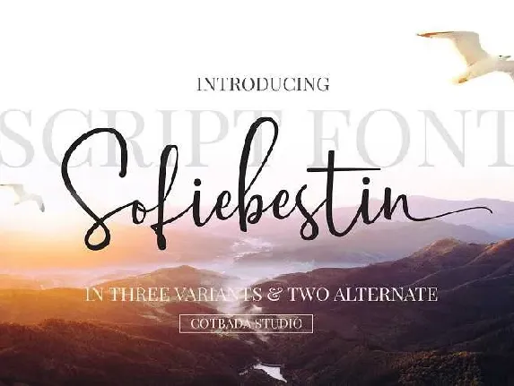 Sofiebestin Script Free Download font