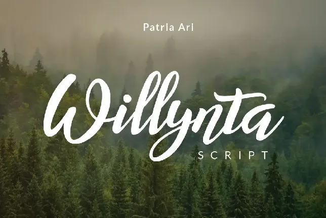 Willynta font