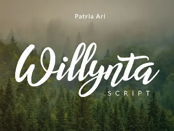 Willynta font